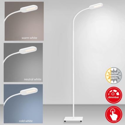 Briloner 1297-016 - LED Димируем сензорен лампион LED/8W/230V 3000/4000/6000K