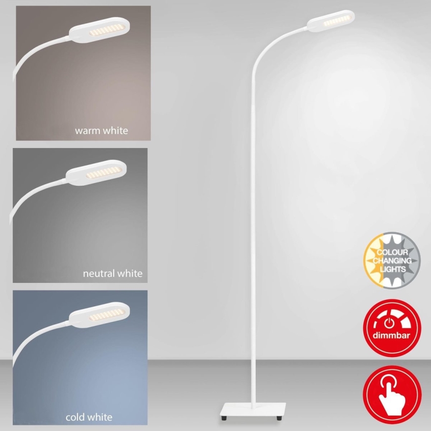 Briloner 1297-016 - LED Димируем сензорен лампион LED/8W/230V 3000/4000/6000K