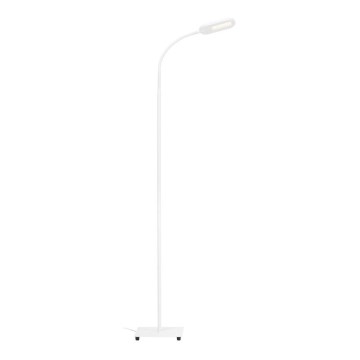 Briloner 1297-016 - LED Димируем сензорен лампион LED/8W/230V 3000/4000/6000K