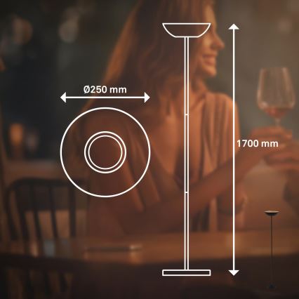 Briloner 1500015 - димируема LED подова лампа ESTATE LED/8W/5V 4000 mAh черна