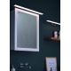 Briloner 2060-018 - LED За баня Осветление за огледало SPLASH LED/10W/230V IP23
