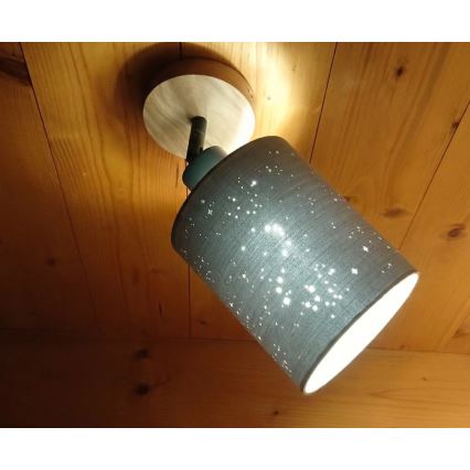 Briloner 2078-011 - Спот аплик SPOTLIGHT 1xE27/25W/230V бежов