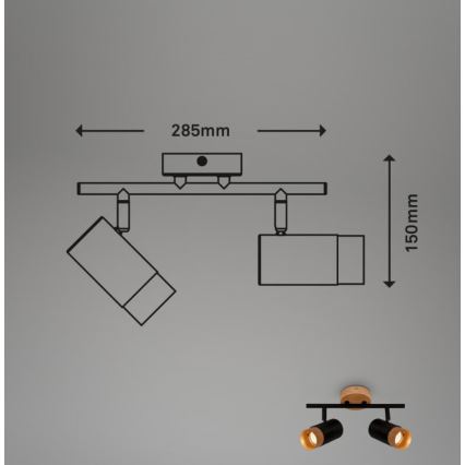 Briloner 2144025 - Спот SPOT 2xGU10/9W/230V