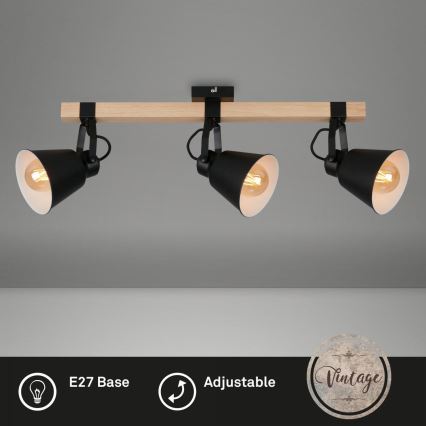Briloner 2406-035 - Спот SPOT 3xE27/40W/230V