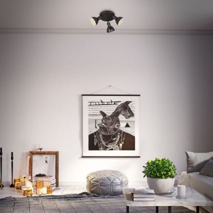 Briloner 2674-035 - Спот RETRO 3xE14/25W/230V черен