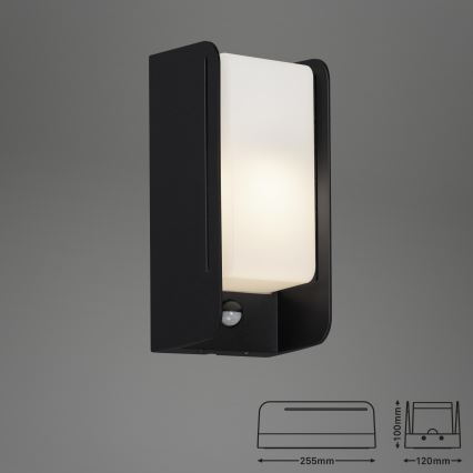 Briloner 3017-015 - Екстериорен аплик със сензор BOKS 1xE27/12W/230V IP44