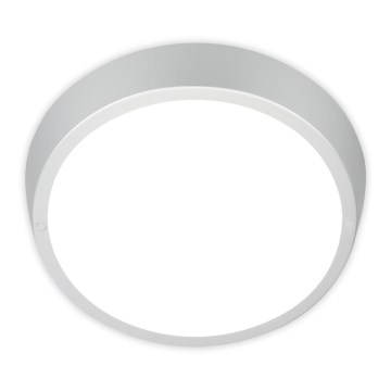 Briloner 3018-014 - LED Плафон за баня HAGEN LED/24W/230V IP44 бял