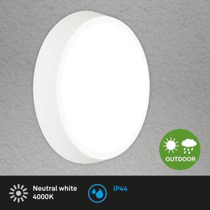 Briloner 3018-016 - Екстериорна LED лампа за таван HAGEN LED/24W/230V 4000K IP44 бял