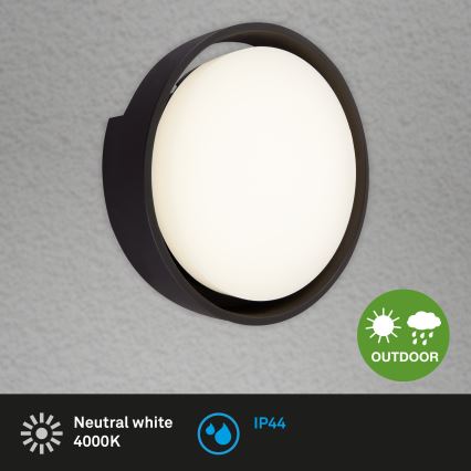 Briloner 3019-015 - LED Екстериорен аплик GENUA LED/18W/230V IP44 черен