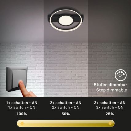 Briloner 3026-015 - LED Димируем плафон FRAME LED/33W/230V