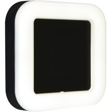 Briloner 3034-015 - LED Екстериорен аплик LED/15W/230V 4000K