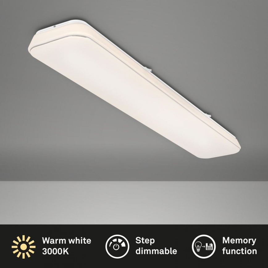 Briloner 3042-016 - LED Димируем плафон RUPA LED/48W/230V