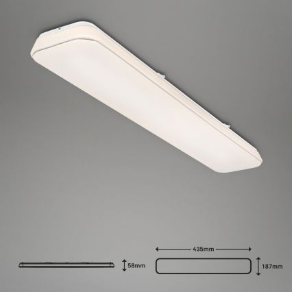 Briloner 3042-016 - LED Димируем плафон RUPA LED/48W/230V