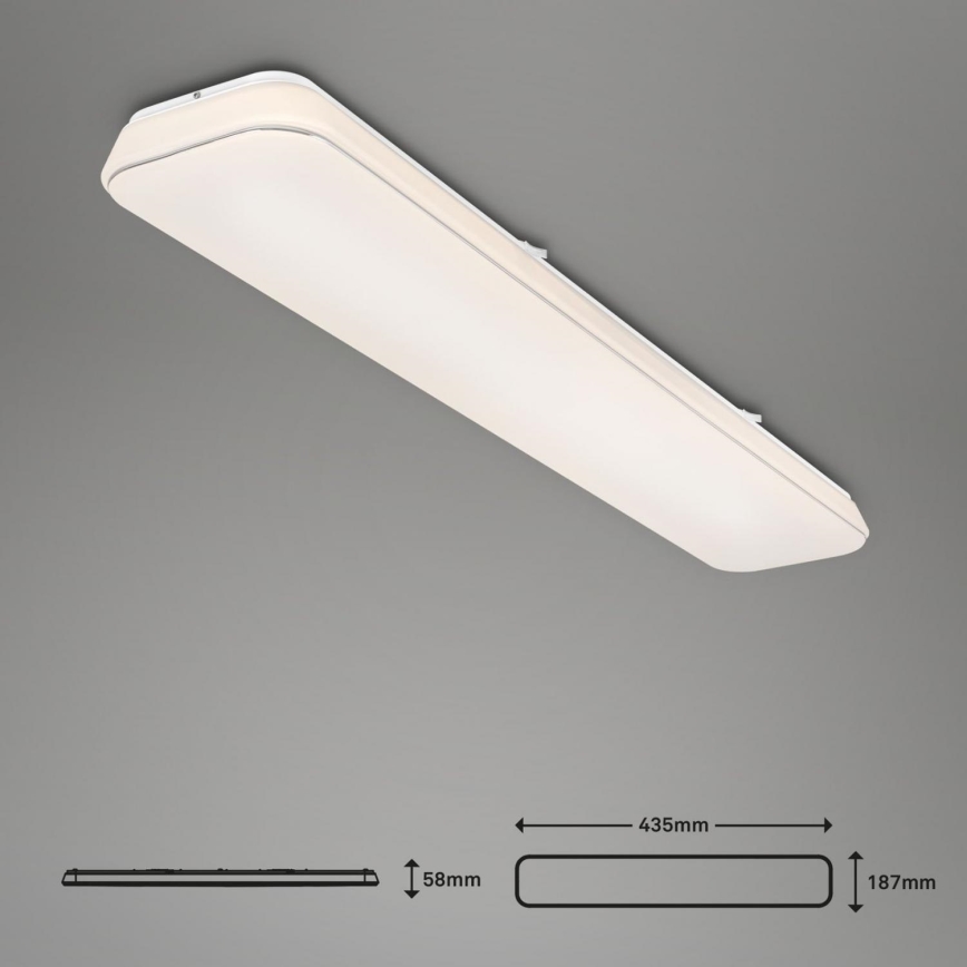 Briloner 3042-016 - LED Димируем плафон RUPA LED/48W/230V