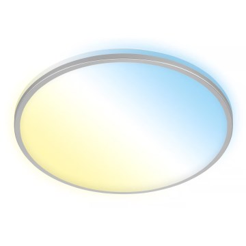 Briloner 3064-014 - LED димируемо таванно осветително тяло IVY LED/24W/230V Wi-Fi Tuya Ø 33,3 cm + дистанционно управление