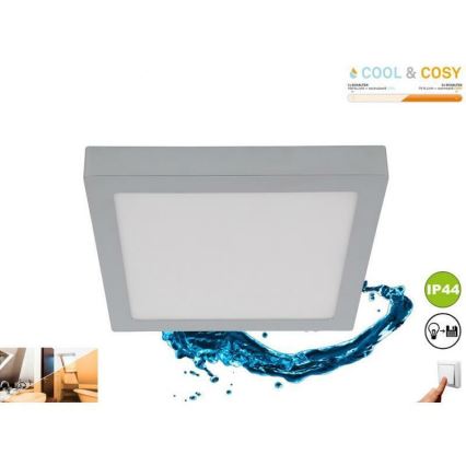Briloner 3142-018 - LED Плафон за баня COOL&COSY LED/21W/230V 2700/4000K IP44