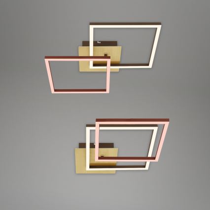 Briloner 3210-017 - LED Димируем плафон FRAME 2xLED/11W/230V златист