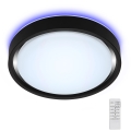 Briloner 3227-015 - LED RGB регулируемо таванно осветително тяло със сензор TALENA LED/24W/230V черно + дистанционно управление