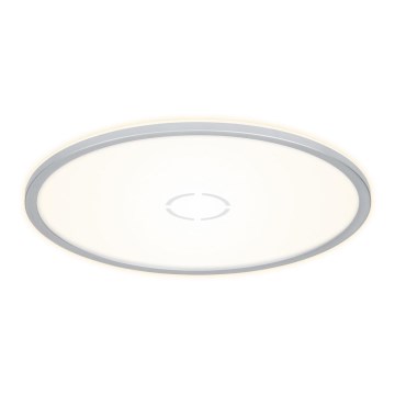 Briloner 3392-014 - LED Лампа FREE LED/22W/230V Ø 42 см