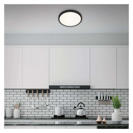 Briloner 3455-015 - LED Лампа MANNY LED/12W/230V