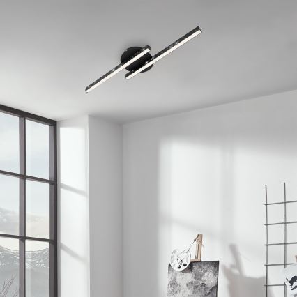 Briloner 3517-025 - LED Полилей за повърхностен монтаж REY 2xLED/6W/230V черен