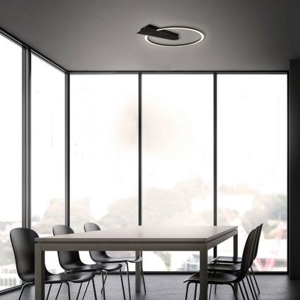 Briloner 3542-015 - LED Димируем плафон NICO LED/12W/230V черен