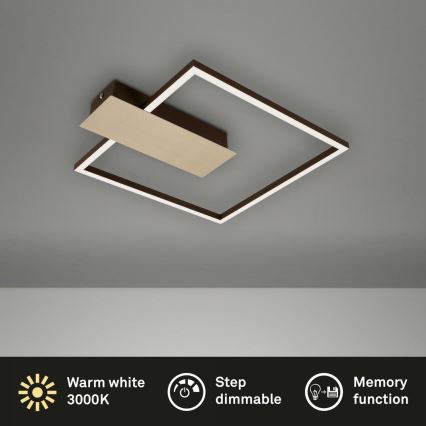 Briloner 3544-017 - LED Димируем плафон NICO LED/12W/230V златист