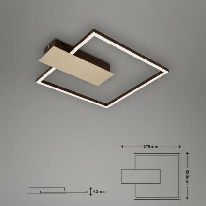 Briloner 3544-017 - LED Димируем плафон NICO LED/12W/230V златист