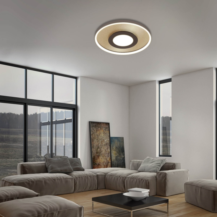 Briloner 3640017 - LED регулируемо таванно осветително тяло FRAME LED/25W/230V 2700-6500K + дистанционно управление