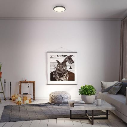 Briloner 3700-015 - LED Плафониера RUNA LED/16W/230V 3000K Ø 28 см черен