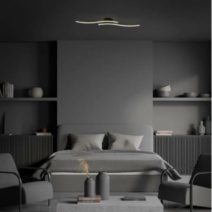 Briloner 3718-025 - LED Полилей за повърхностен монтаж REY 2xLED/6W/230V черен