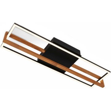 Briloner 3777-015 - LED таванно осветително тяло FRAME LED/21W/230V 3000K черно