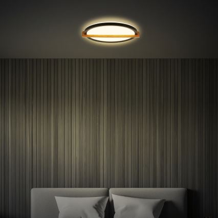 Briloner 3844015 - LED плафон, 18 W, 230 V, Ø 31,5 cm