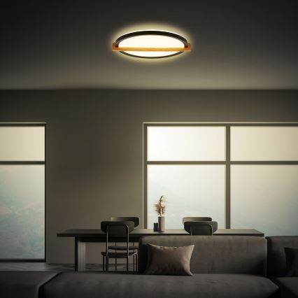 Briloner 3844015 - LED плафон, 18 W, 230 V, Ø 31,5 cm