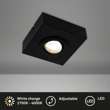 Briloner 3996015 - LED Спот CTS LED/4W/230V 2700/4000K черен