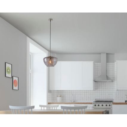 Briloner 4016-014 - Пендел SEVENTIES 1xE27/40W/230V прозрачен