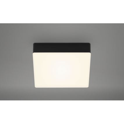 Briloner 7069-015 - LED Плафониера LED/11W/230V черен