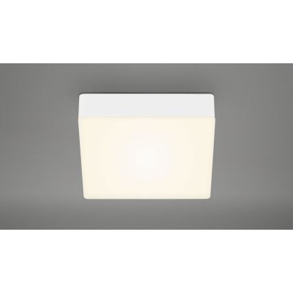 Briloner 7069-016 - LED Плафониера LED/11W/230V бял