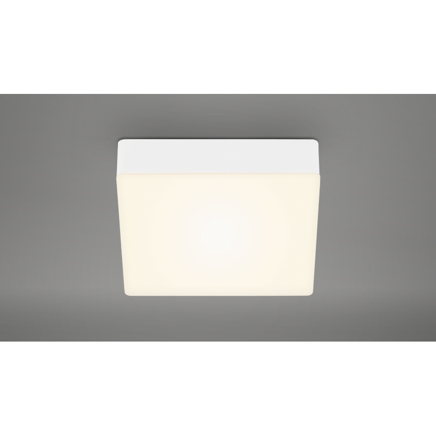 Briloner 7069-016 - LED Плафониера LED/11W/230V бял
