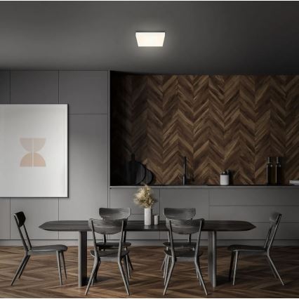 Briloner 7070-016 - LED Плафониера FLAME LED/16W/230V бял