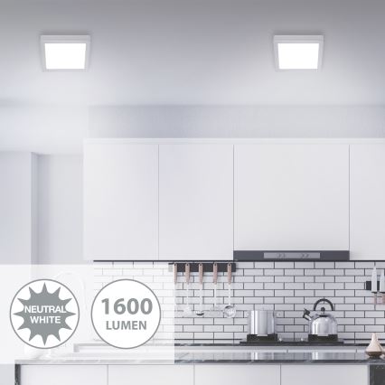 Briloner 7118-414 - LED Плафон FIRE LED/16,5W/230V 4000K