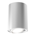 Briloner 7119-014 - LED Спот TUBE 1xGU10/5W/230V кръгъл