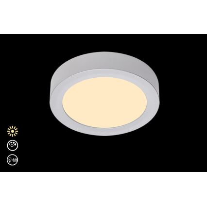 Briloner 7124-014 - LED Димируем плафон FIRE LED/12W/230V 3000K