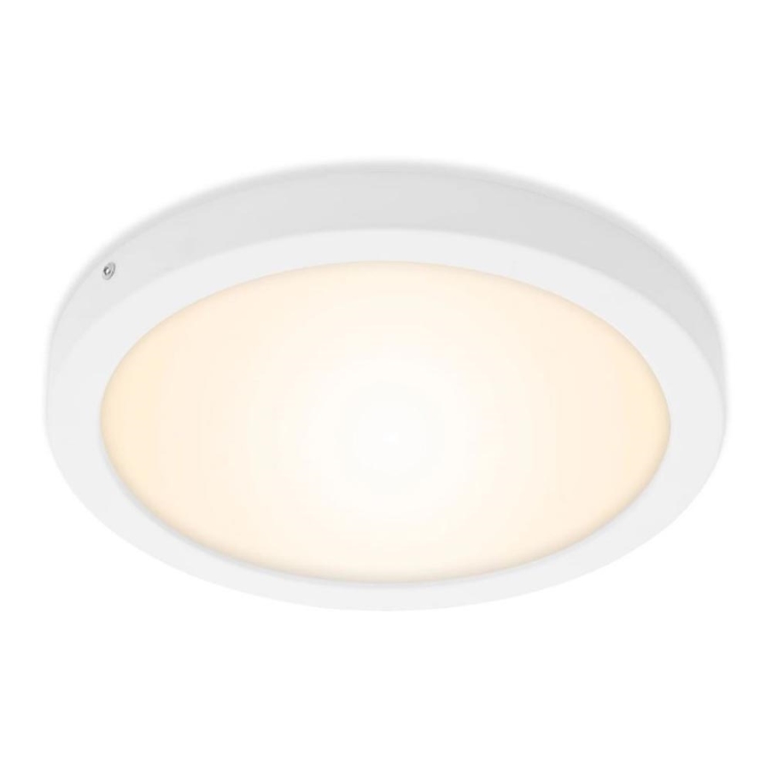 Briloner 7141-016 - LED Плафон FIRE LED/21W/230V