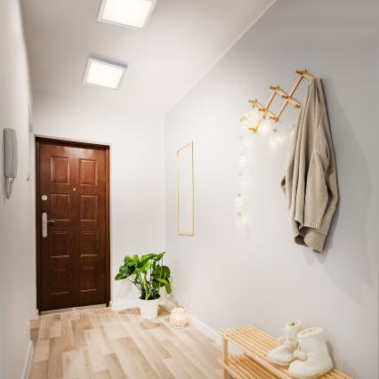 Briloner 7142-014 - LED Плафон FIRE LED/21W/230V 3000K