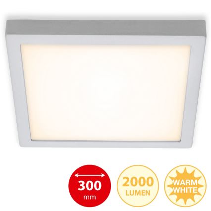 Briloner 7142-014 - LED Плафон FIRE LED/21W/230V 3000K