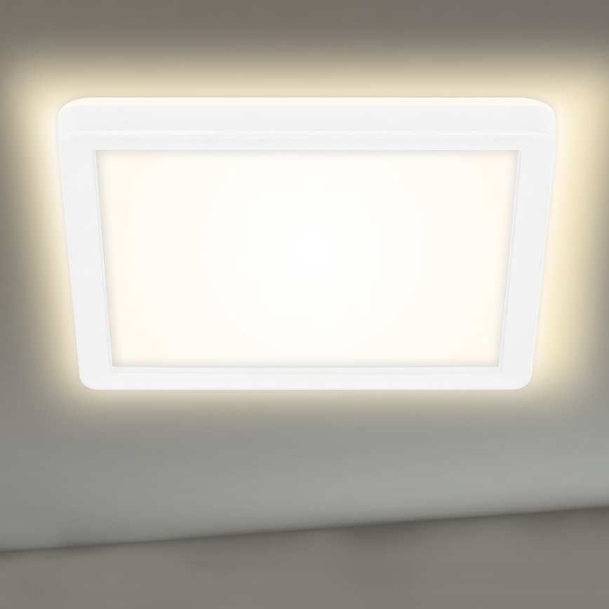 Briloner 7153-416 - LED Лампа SLIM LED/12W/230V