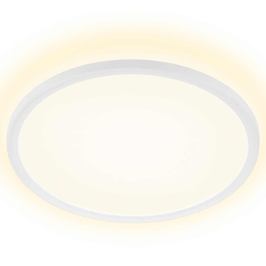 Briloner 7157-416 - LED Лампа SLIM LED/22W/230V Ø 42 см