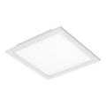 Briloner 7191-016 - LED Лампа SIMPLE LED/12W/230V