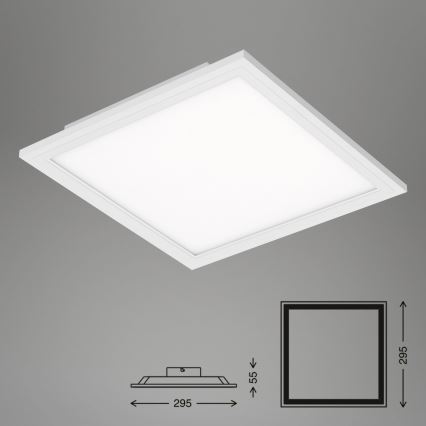 Briloner 7191-016 - LED Лампа SIMPLE LED/12W/230V